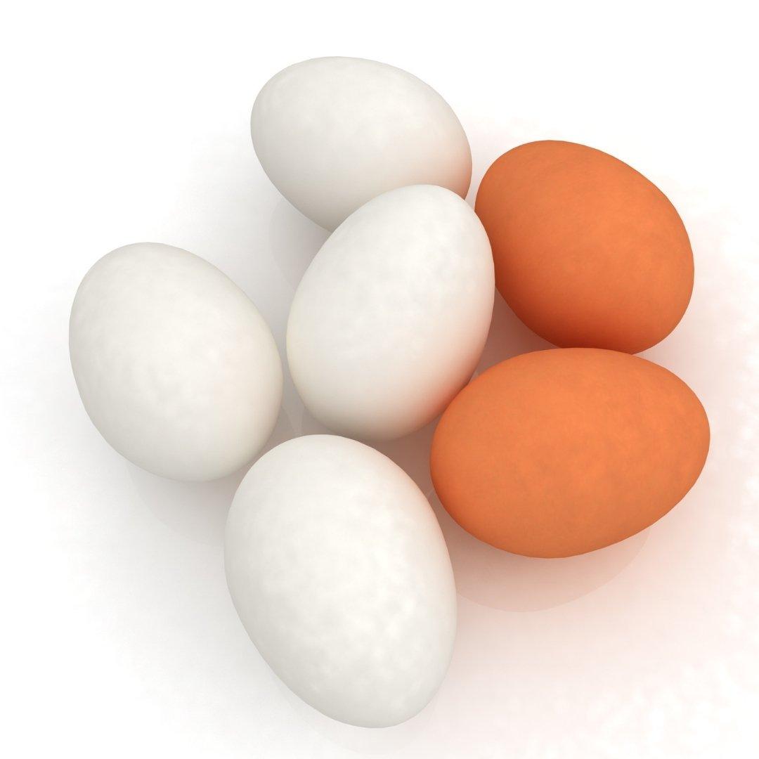 Fresh Table Chicken Eggs With 100% Natural Quality Chicken Eggs Delivered For Wholesale And International Buyers