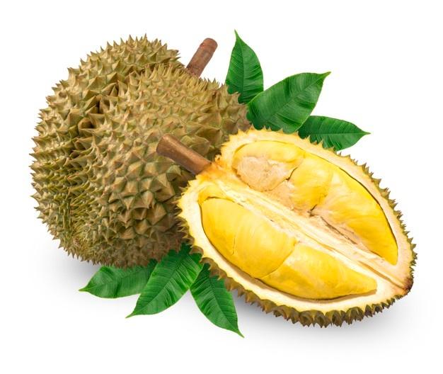 Authentic Fresh Durian Fruits Naturally Delicious Premium Selection Cheap Price For Fresh Tropical Fruit Lovers