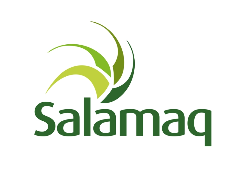 SALAMAQ Revealed: B2B Opportunity