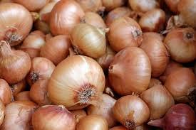 Meet the Top 3 Fresh Onion Suppliers in South Africa - 1