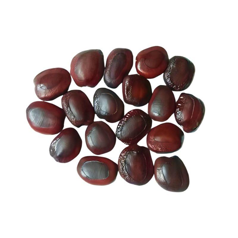 Premium Tamarind Seeds