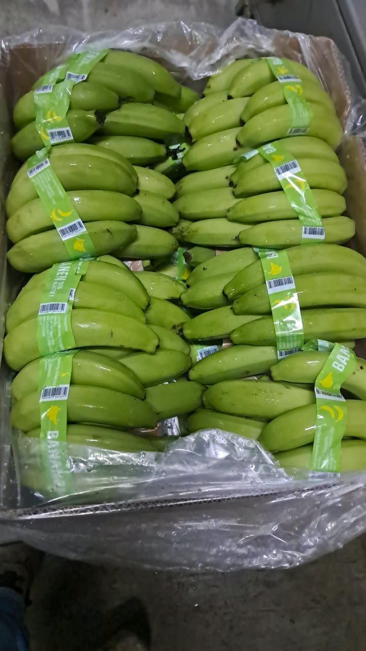 Banano Cavendish  – product photo, product description