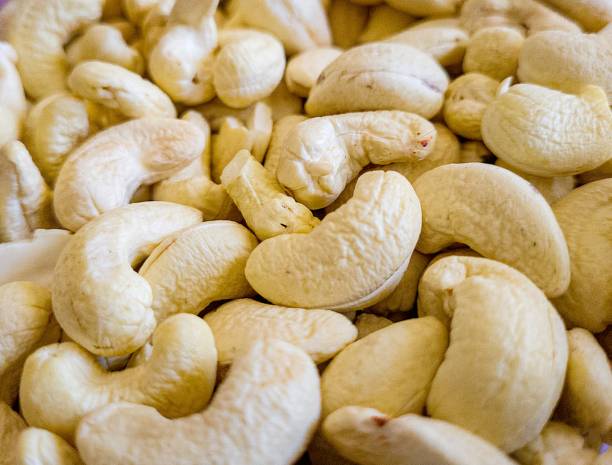 Top 6 Cashew Nuts Suppliers in Kenya in July 2025