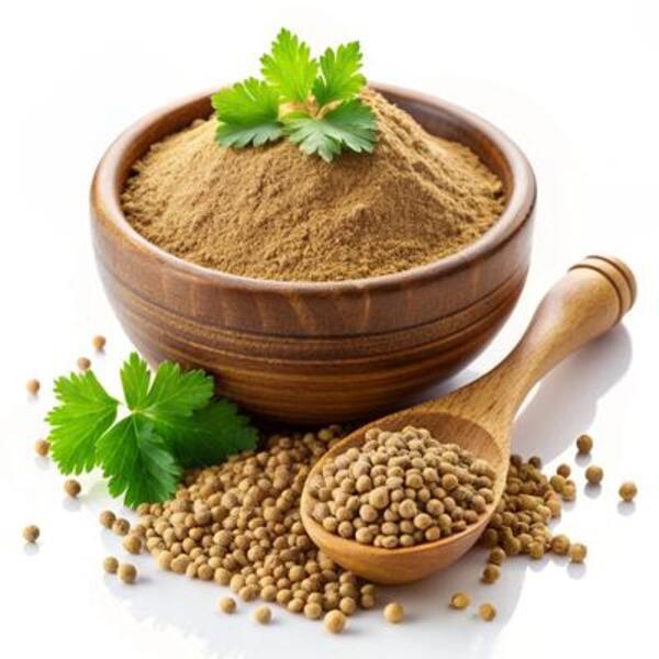 Refined Export Quality Dry Coriander Seeds Wholesale – Carefully Selected Natural Coriander Seeds for Culinary, Industrial Food Production, Grinding, Essential Oils, and Global Supply with Safe Packaging, Competitive Pricing, Bulk Quantities, and Dependable Worldwide Shipping