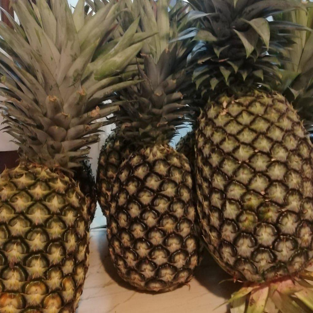 Fresh Pineapple Grade A1, Class 1 Cultivation Type Common Shape Cylindrical Or Conical Shape, Depending On The Variety Freshness Fresh And Firm, With No Signs Of Wilting Or Dehydration