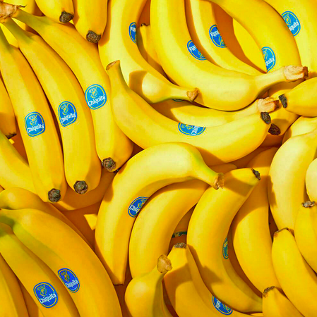 Fresh Green Cavendish Banana. wholesale Packaging bulk Features No Preservatives, Organic Fruit Type Blueberry, Cherry, Fruit Mix, Mango, Other, Pineapple, Raspberry, Strawberry