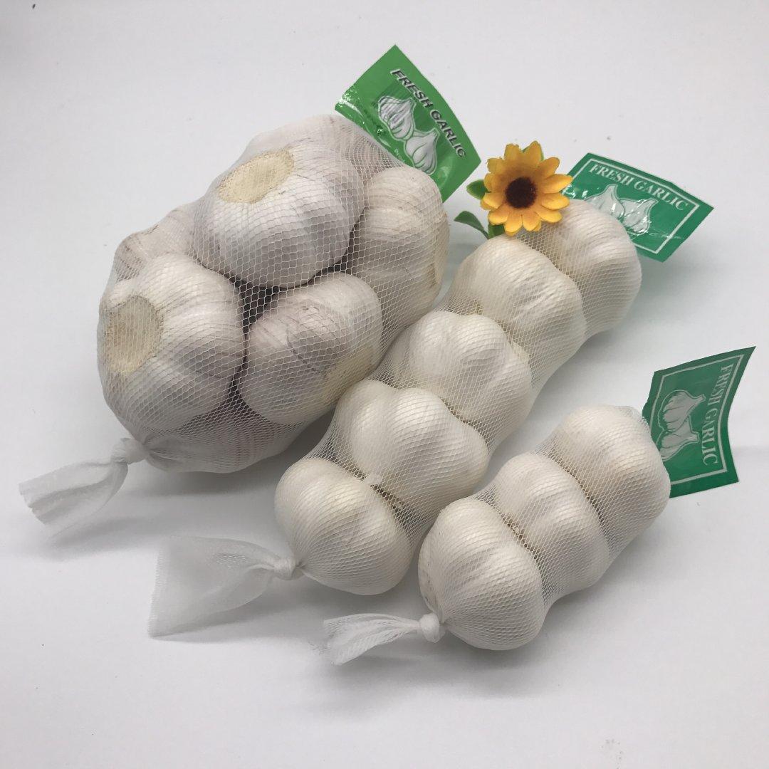 Fresh Garlic Image 1