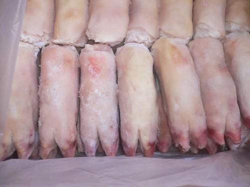 High Quality Organic Fresh Frozen Pork Front and Hind Feet BQF Processed Vacuum Packed for Export Premium Grade Nutritious Pork Feet Bulk Wholesale Supply with Economical Pricing Ideal for Food Processing Restaurants and International Buyers Seeking Consistent Quality and Reliable Delivery Standards