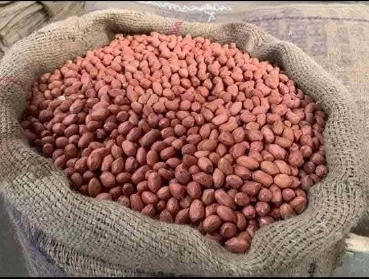 Raw Peanuts
