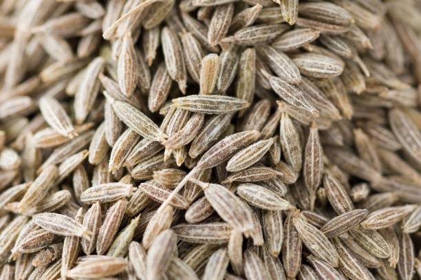 Top 4 Cumin Seeds Suppliers in United Kingdom in September 2025