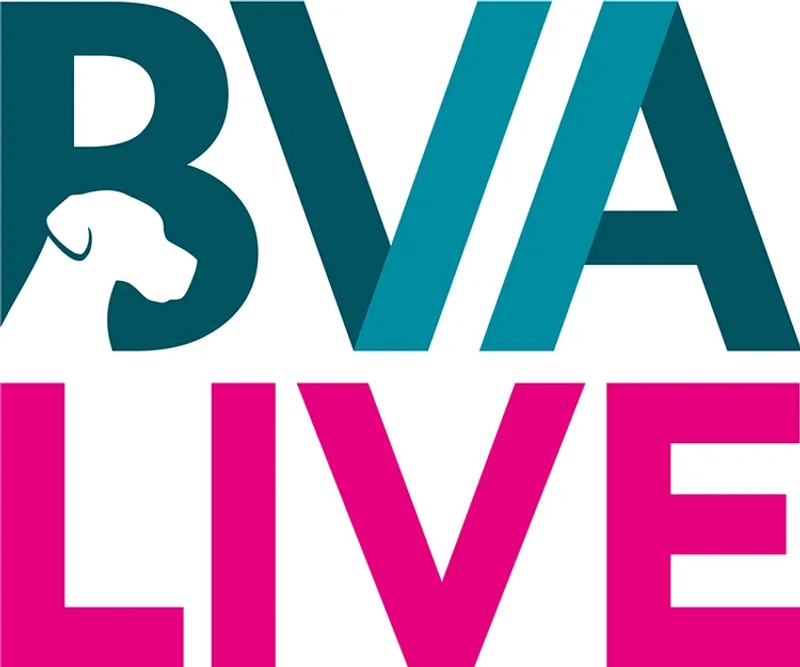 Unlock BVA LIVE: Must-Know B2B Event