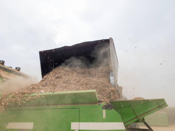 Your Expert Guide to Procuring Top-Tier Wood Shaving Machines: Top 6 Wood Shaving Machines Suppliers in China in August 2025