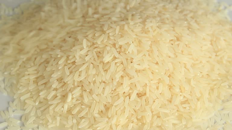 Top 3 Jasmine Rice Suppliers in United States in Quarter 3 of 2025