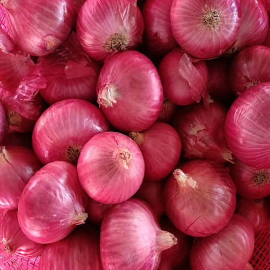 Meet the top 4 Fresh Onion suppliers in India