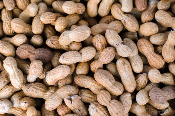 Top 10 Peanuts Suppliers in South Africa in July 2025