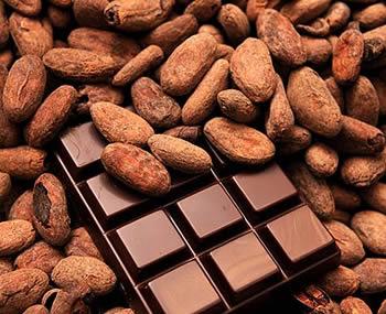 Discover the Top 6 Cocoa Powder Suppliers in South Africa - 4
