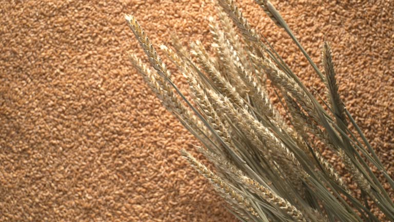 Top 5 Wheat Suppliers in Vietnam in Year 2025: Navigating a Rapidly Evolving Market