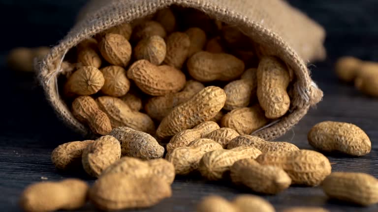 Top 3 Peanuts Suppliers in Netherlands in July 2025: Market Trends, Export Data & Supplier Insights