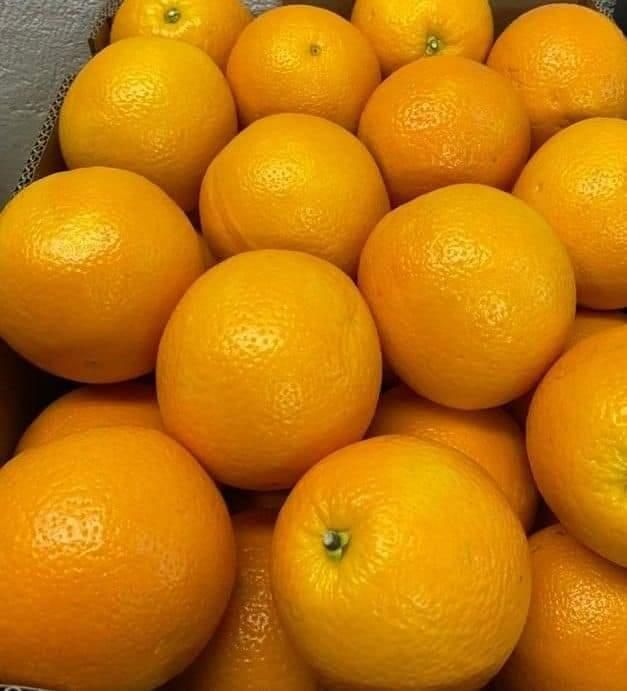 SOURCE GLOBAL TRADING GROUP – Trusted Exporter of Premium Agricultural Products from South Africa on Freshdi!