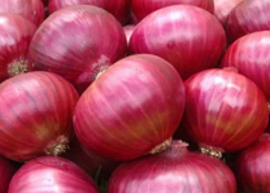 Top 10 verified Fresh Vegetables suppliers in India - 6