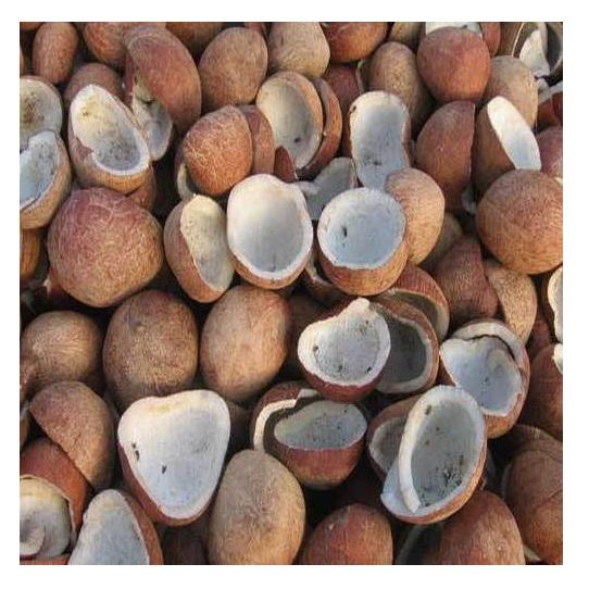 Bulk Whole Dried Coconut/Dried Coconut/ Coconut Ball Copra
