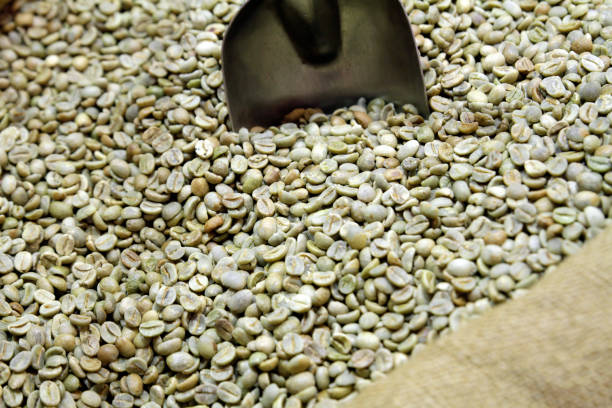 Top 3 Green Coffee Suppliers in Turkey in Quarter 4 of 2025