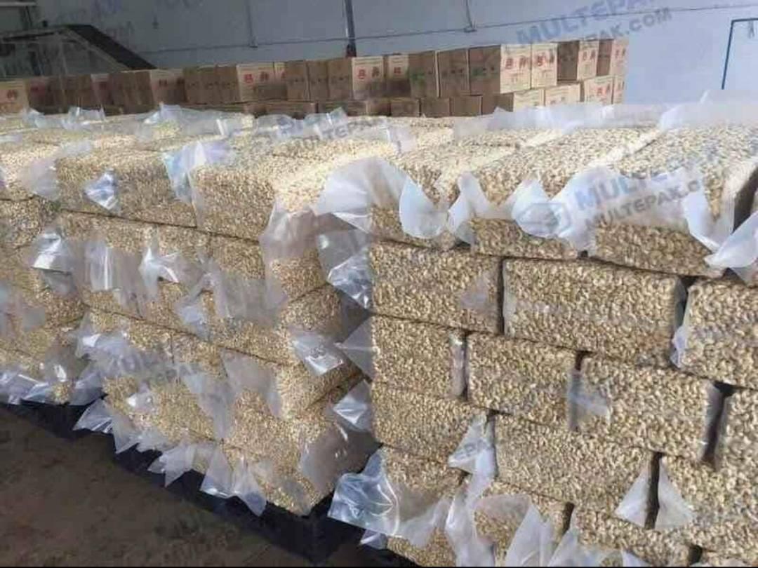 Cashew Processing