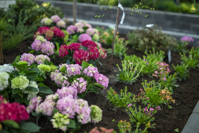 Unlock KEVATMESSUT: KEVAT PUUTARHA - SPRING GARDEN: Must-Know B2B Event - 2