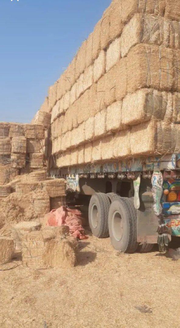 Wheat Straw Bales