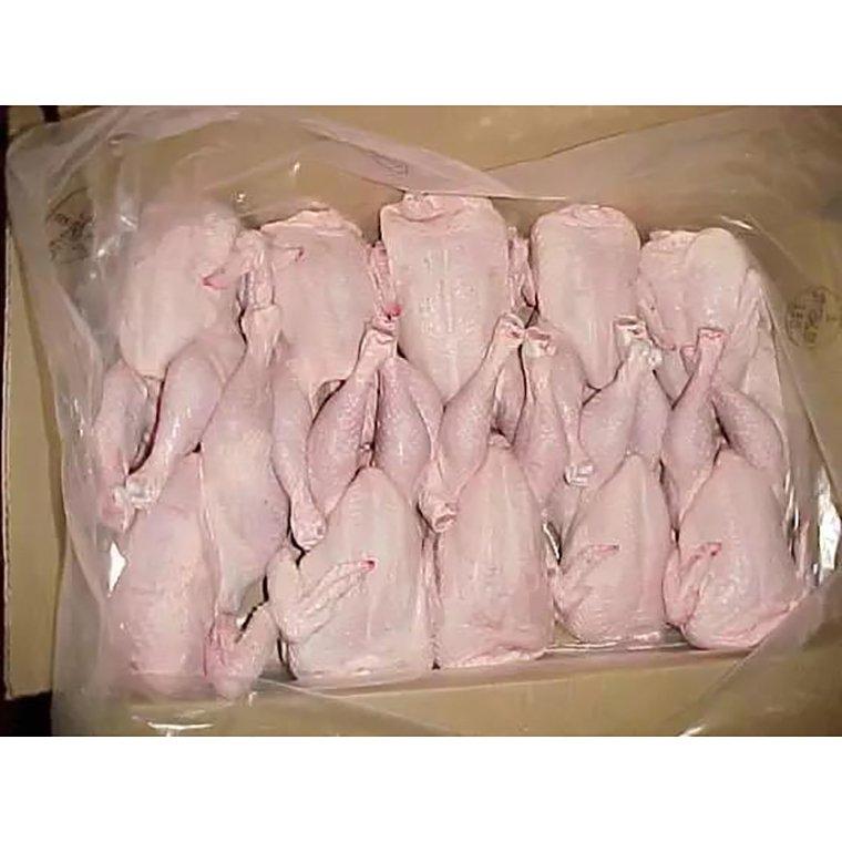 Halal Whole Frozen Chicken for Export
