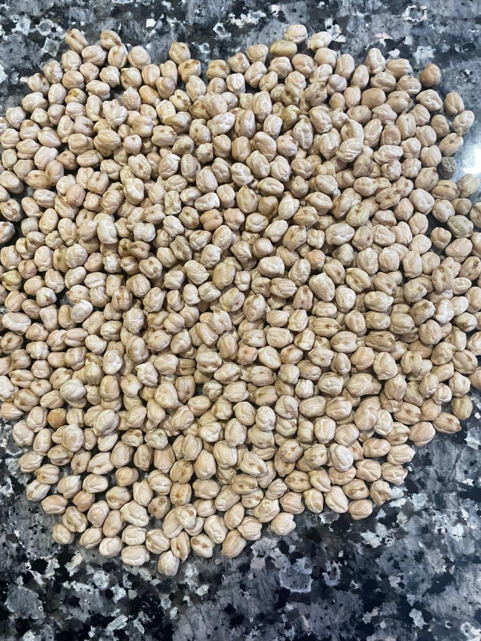 Export Quality Kabuli Chickpea