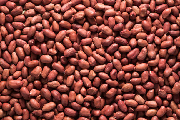 Top 6 Peanuts Suppliers in Italy in Quarter 2 of 2025: Market Trends & Strategic Insights