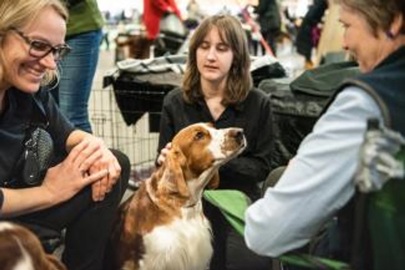 Why International Dog and Cat Show Matters for B2B