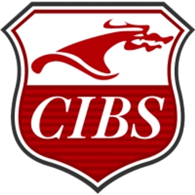 Inside CIBS China Shanghai International Boat Show: B2B Key Insights