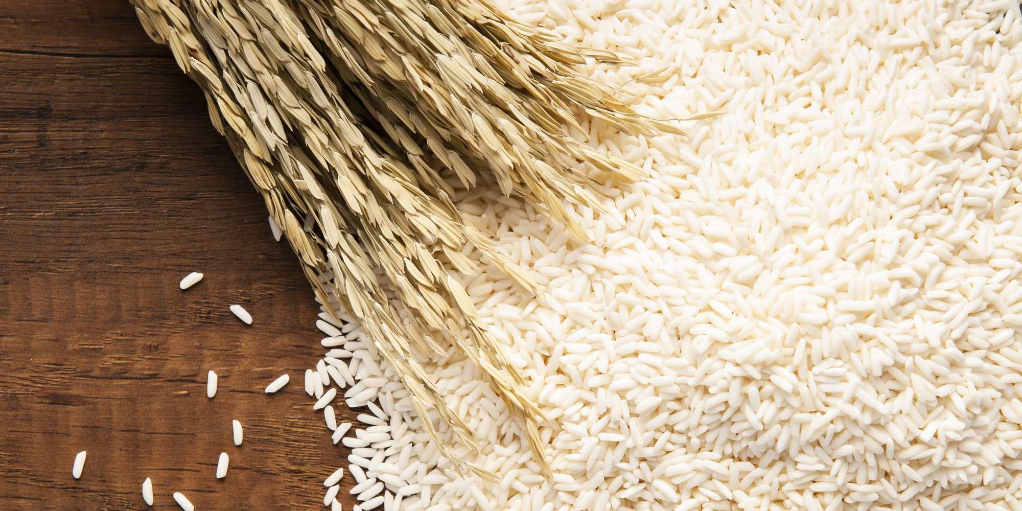 High Quality Organic Long Grain White Rice Hard Texture Dried Rice for Cooking and Food Includes Broken Basmati Rice