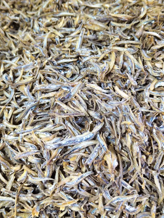 Premium Freeze Dried BQF Anchovy Fish Body Sliced Cooking Snacks Pet Food Bulk Bag