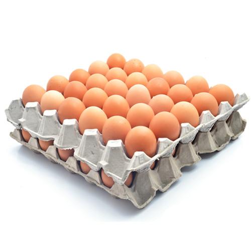 BROWN CHICKEN EGGS Grade AA Shape ROUND Packaging