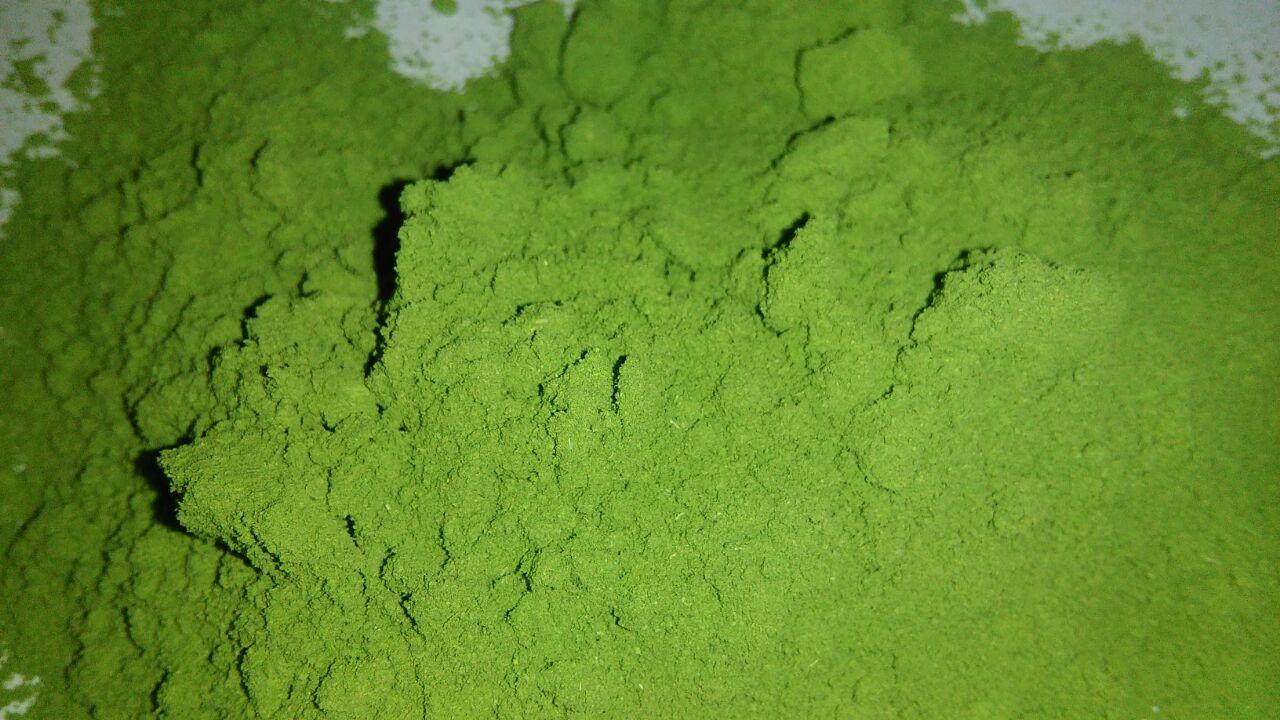 Moringa Leaves