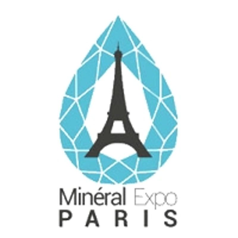 Inside Paris Mineral Show : B2B Key Insights