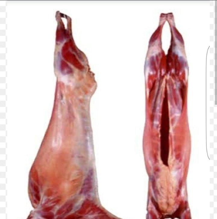 Goat Meat