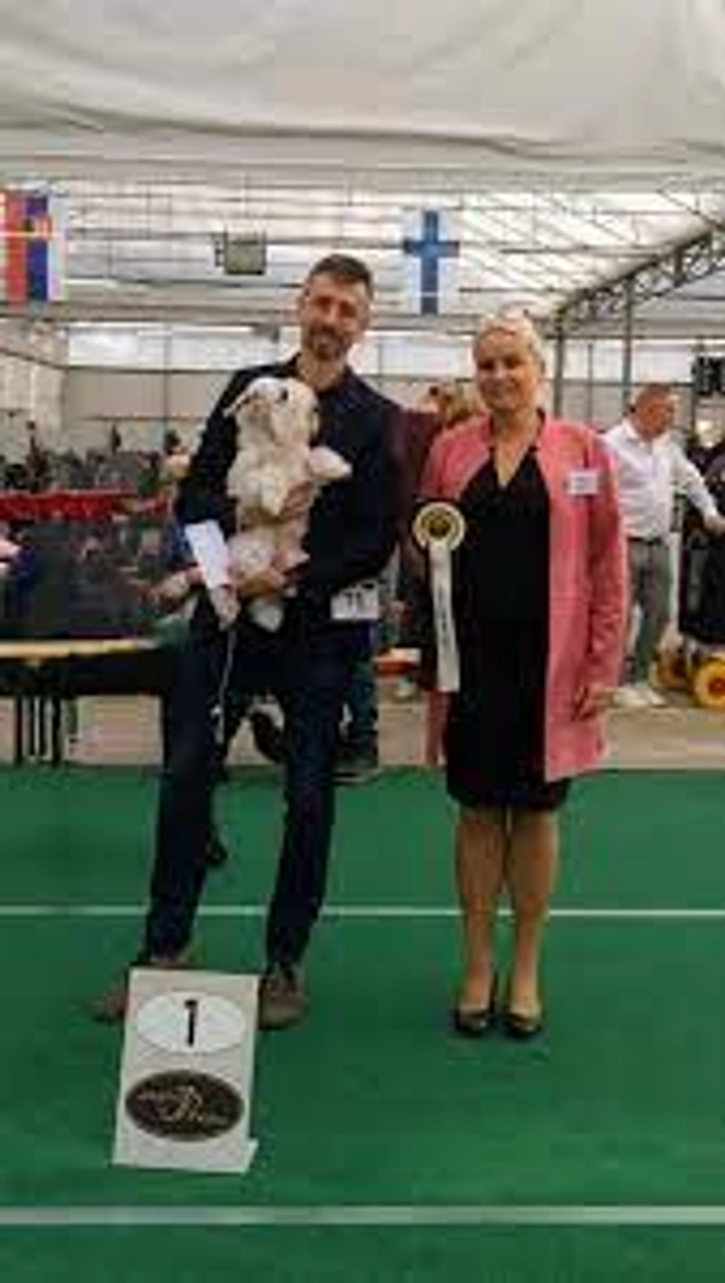 Why Attend WALLONIA DOG SHOW? B2B Intro - 2