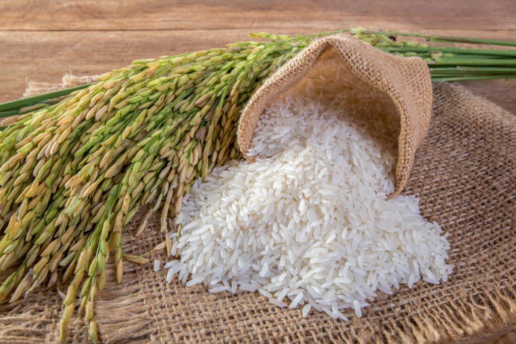 Top United Arab Emirates Basmati Rice Suppliers -- 10 Capabilities Reviewed - 9