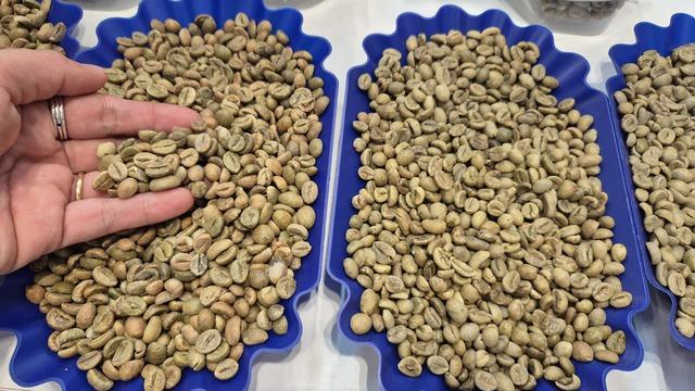 Arabica Coffee Availability 19.2 Mt Price Per Metric Ton Usd 7100