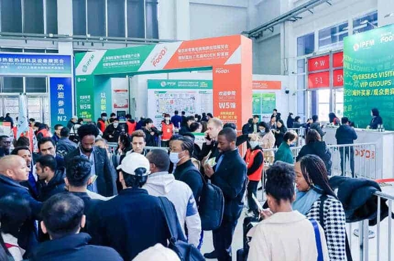 International Plant Fiber Molding Industry Trade Fair Spotlight: B2B Essentials - 2