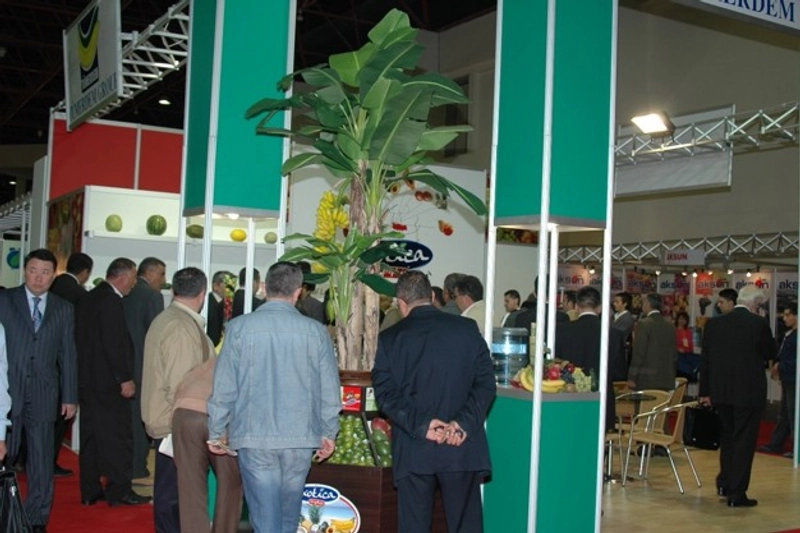 Inside Anfaş Fresh Antalya: B2B Key Insights - 3