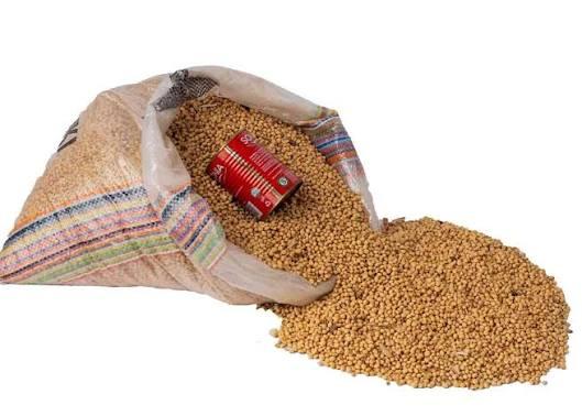 Organic Soya Beans