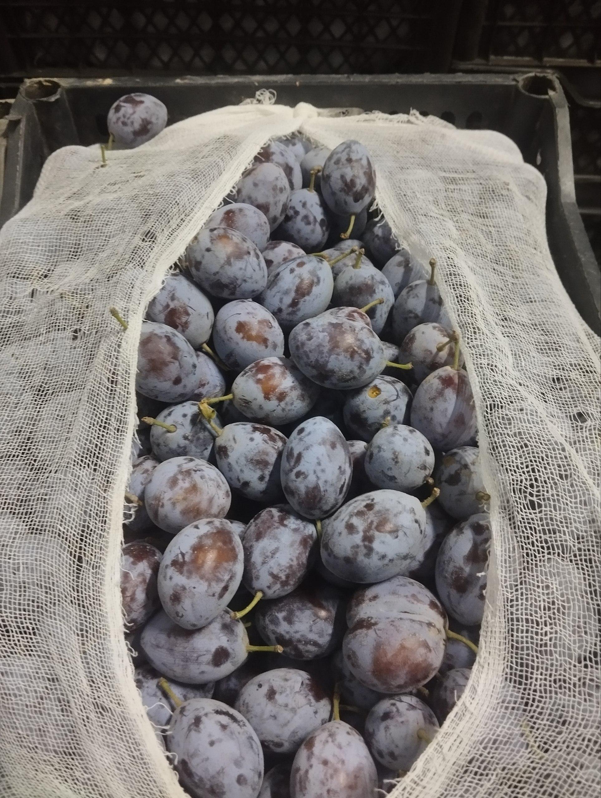 Uzbek Fresh and Dried Plums