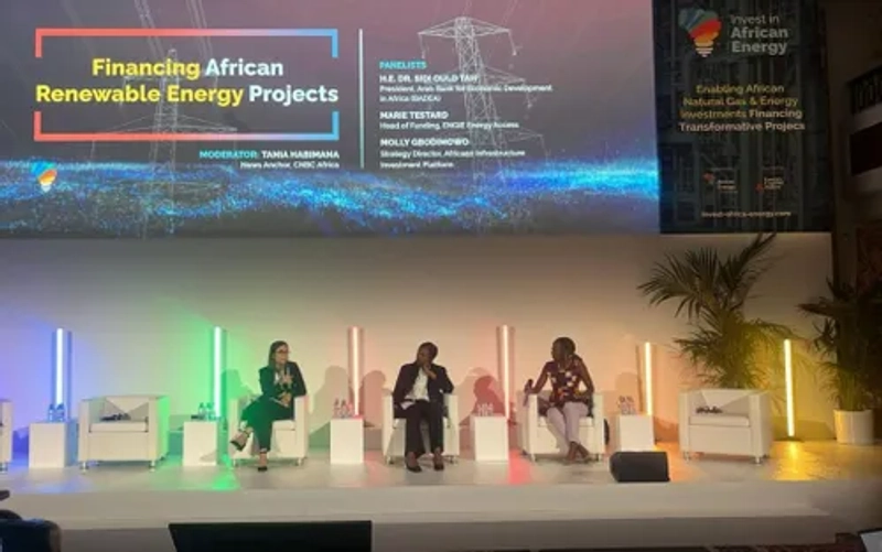 Invest in African Energy Revealed: B2B Opportunity - 2