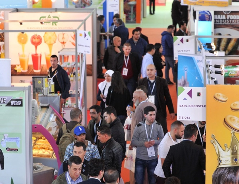 DJAZAGRO Spotlight: B2B Essentials - 2
