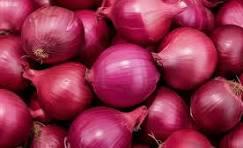 Meet the top 4 Fresh Onion suppliers in India - 2